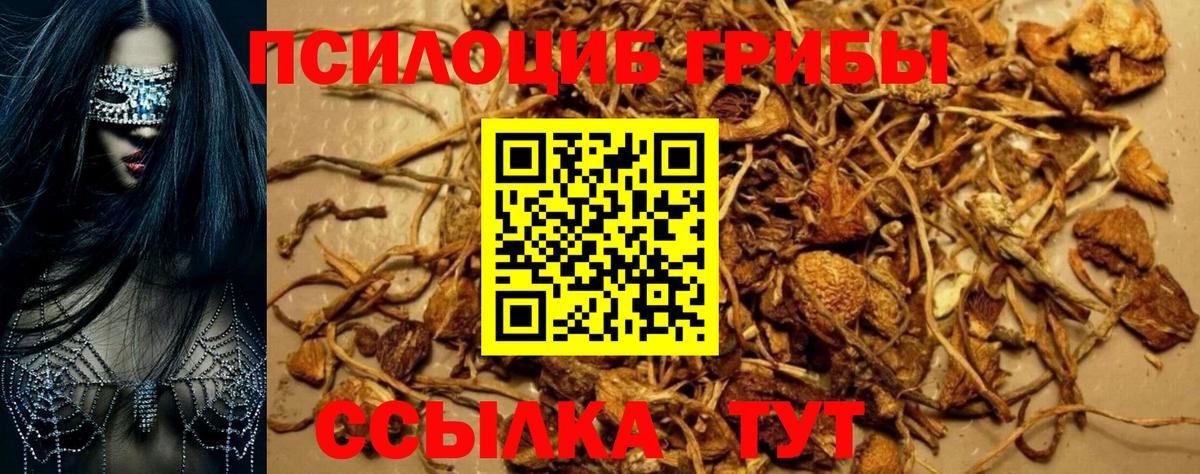 Галлюциногенные грибы мицелий  Вход с VPN  купить наркотики цена  Магнитогорск 